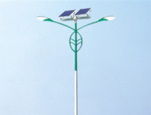 太陽(yáng)能路燈TLD_25 太陽(yáng)能路燈TLD_25