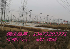 太陽能電池板,雄安新區(qū)太陽能路燈,太陽能路燈廠家